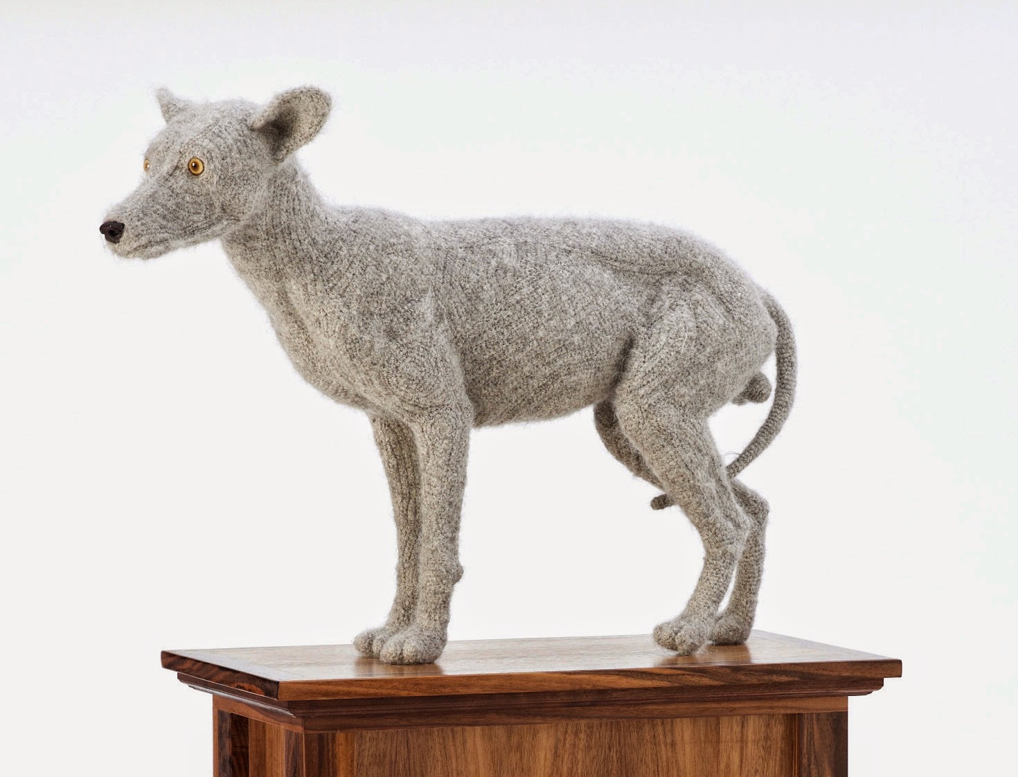 Crochetdermy Coyote by Shauna Richardson